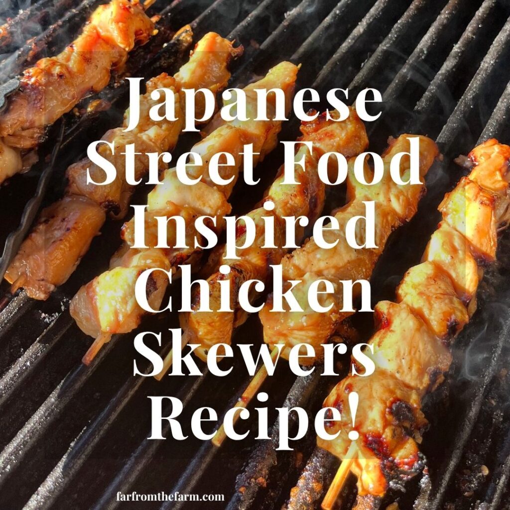 The Best Homemade Japanese Street Food-Inspired Yakitori Chicken Skewers Recipe!