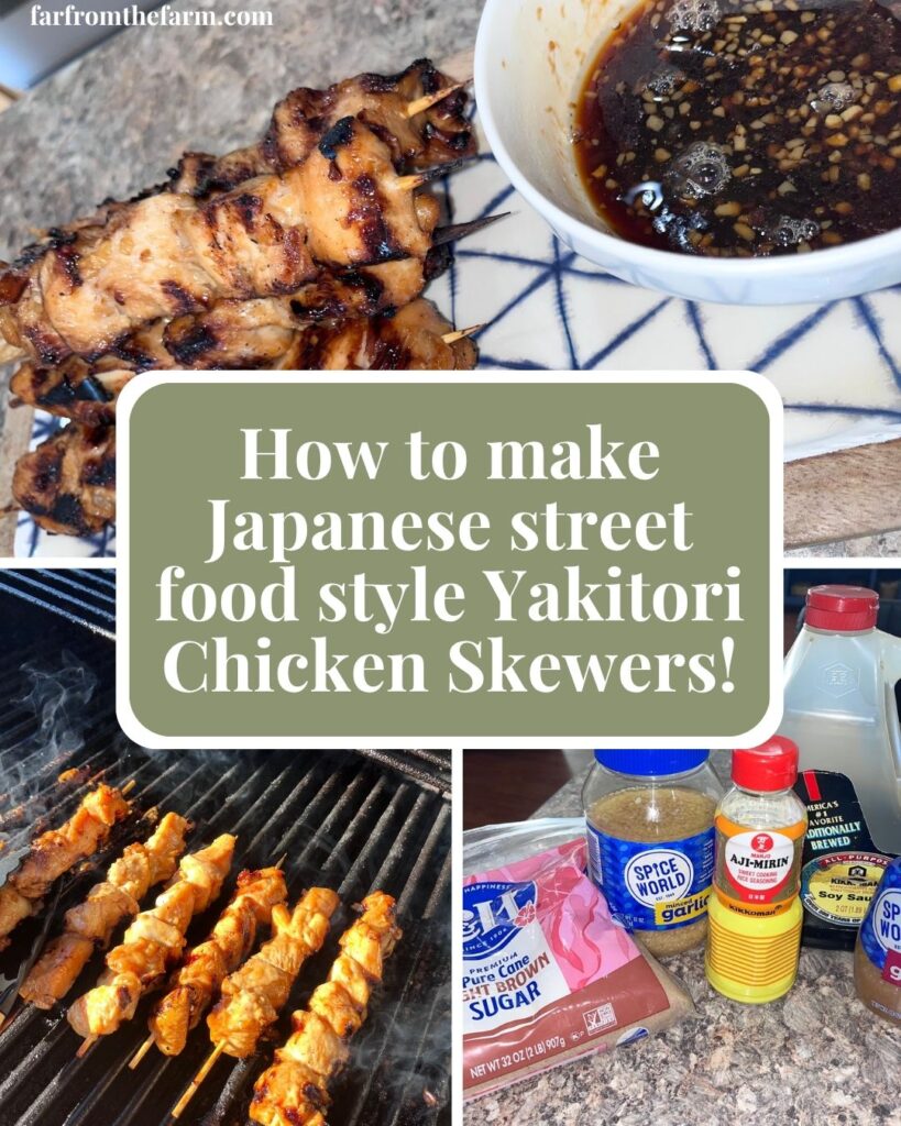 Easy Japanese Yakitori Chicken Skewers Recipe!