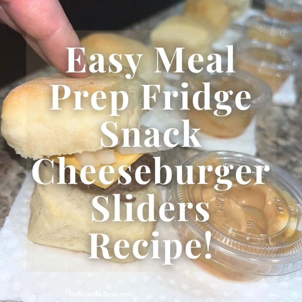 Easy Meal Prep Fridge Snack Cheeseburger Sliders Recipe!