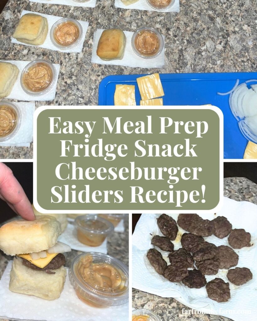 Easy Meal Prep Fridge Snack Cheeseburger Sliders Recipe!