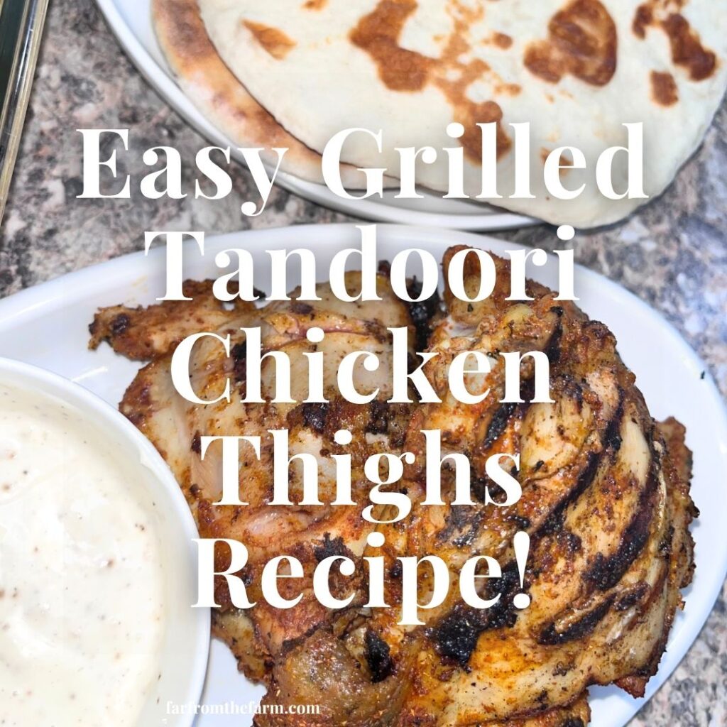 Easy Grilled Tandoori Chicken Thighs Recipe!