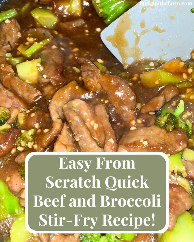 Easy From Scratch Quick Beef and Broccoli Stir-Fry Recipe!