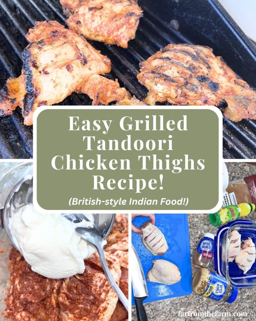 Easy Grilled Tandoori Chicken Thighs Recipe!