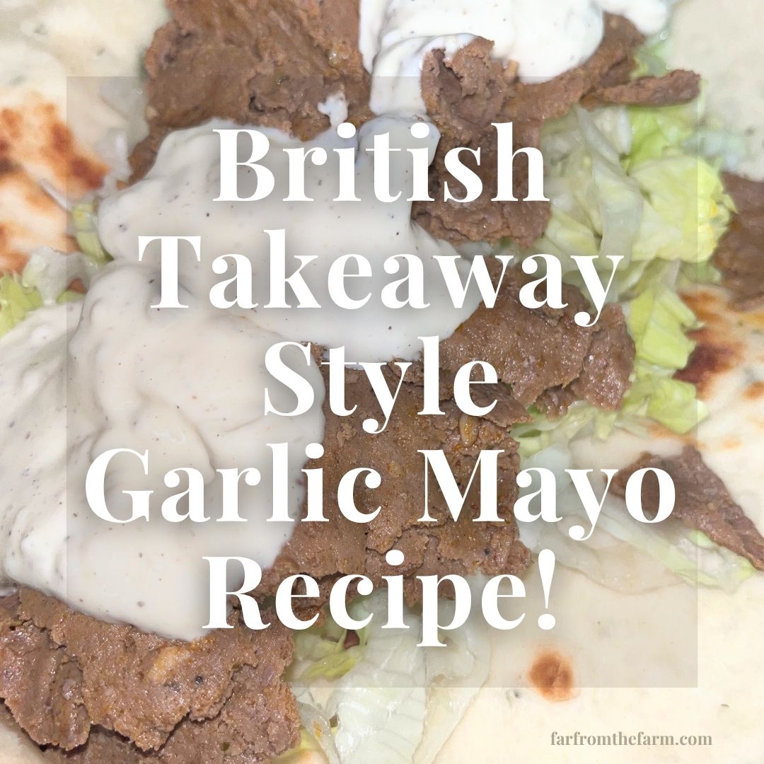 British Takeaway Style Garlic Mayo Recipe!