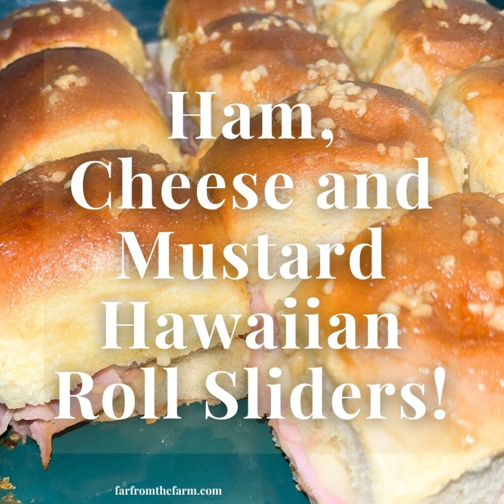 The Best Ham, Swiss Cheese and Tangy Mustard Hawaiian Roll Sliders Recipe!