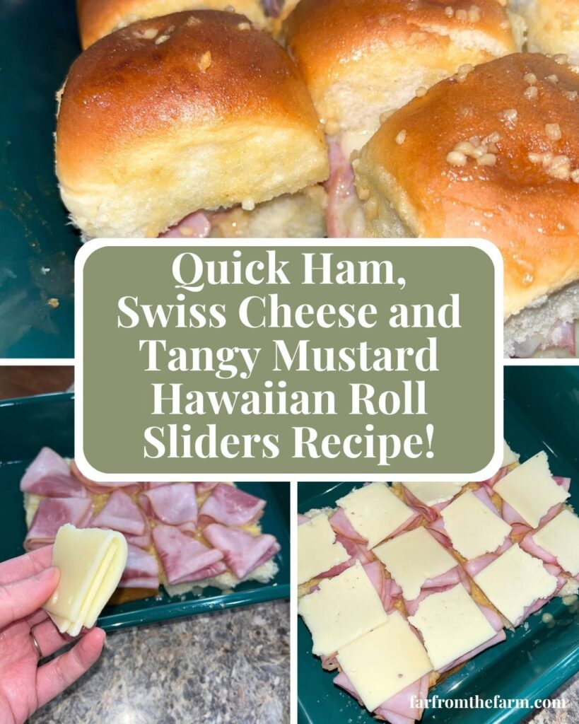 The Best Ham, Swiss Cheese and Tangy Mustard Hawaiian Roll Sliders Recipe!