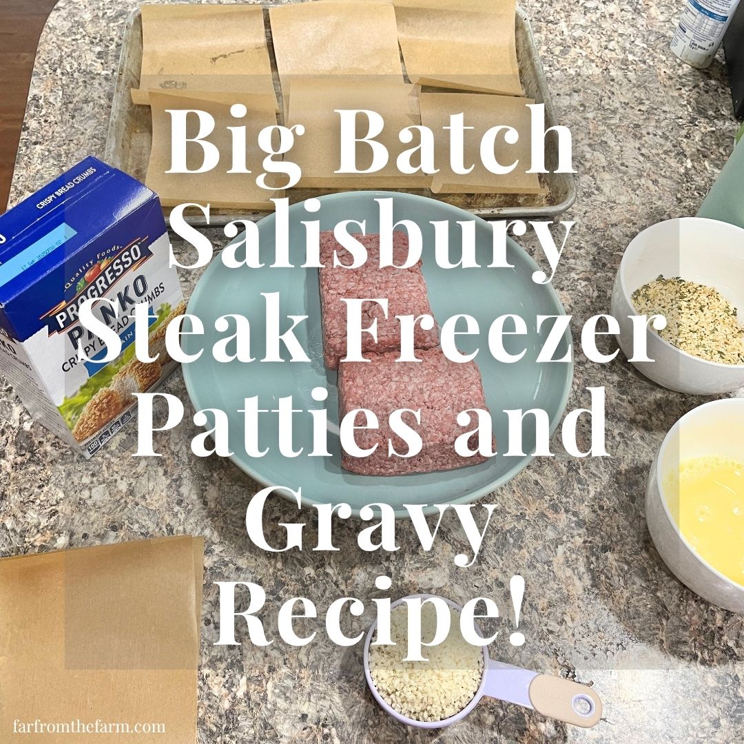 The Best Homemade Salisbury Steak Freezer Patties and Gravy Recipe! (Big Batch)