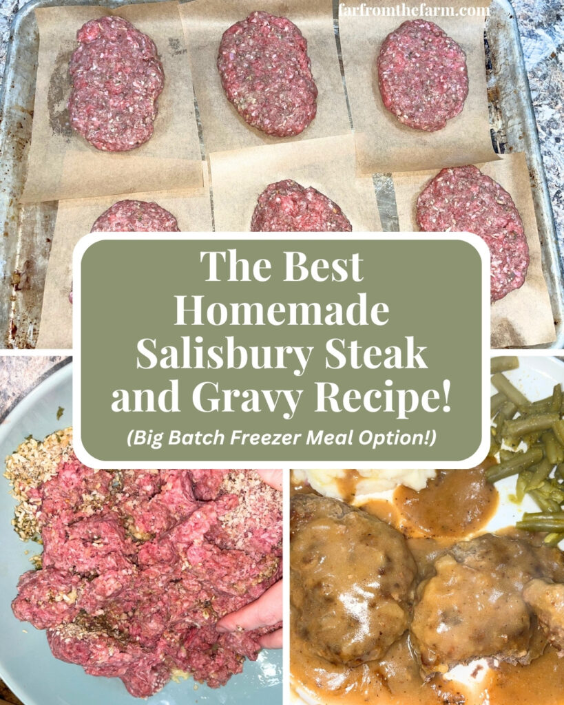 The Best Homemade Salisbury Steak Freezer Patties and Gravy Recipe! (Big Batch)