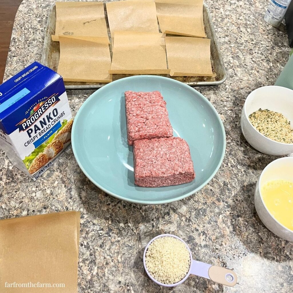 The Best Homemade Salisbury Steak Freezer Patties and Gravy Recipe! (Big Batch)