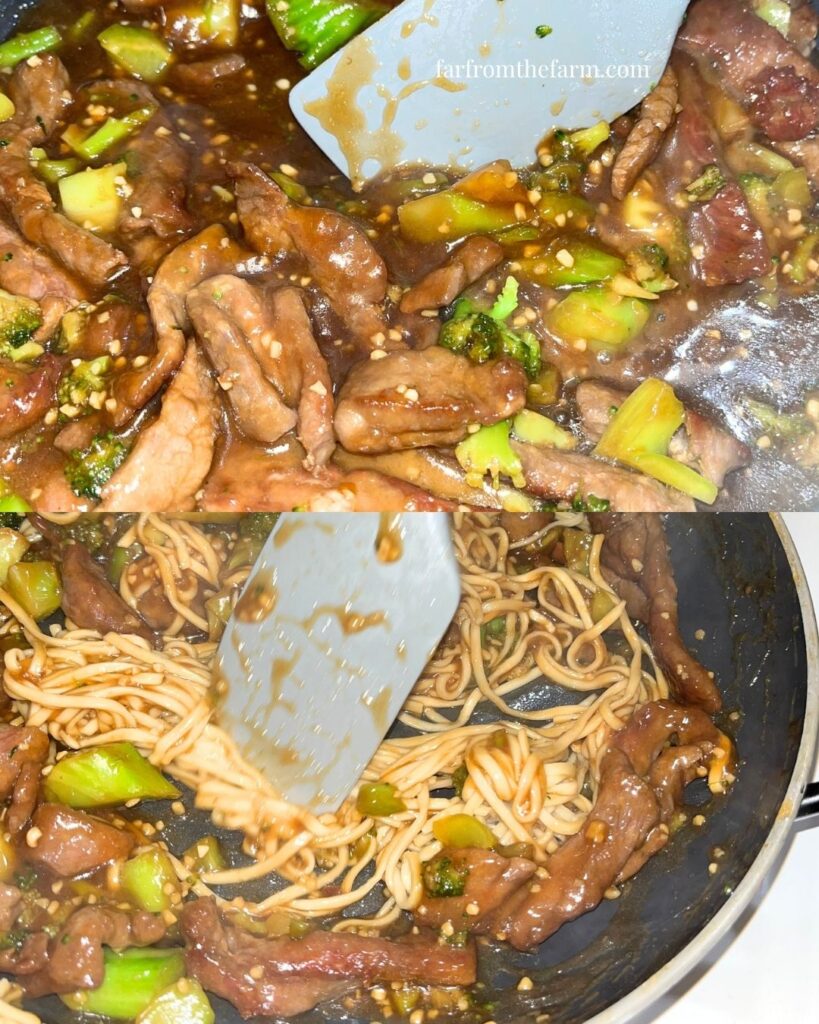 Easy From Scratch Quick Beef and Broccoli Stir-Fry Recipe!