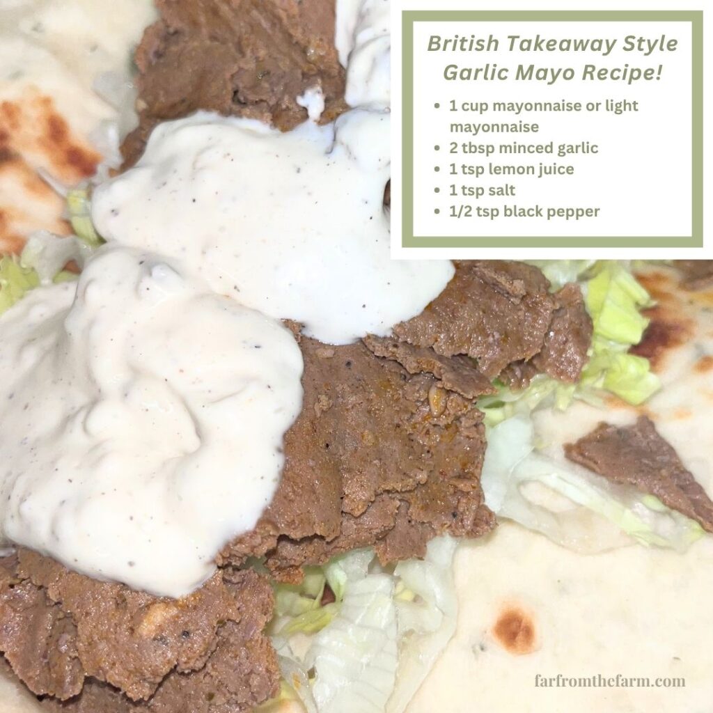 British Takeaway Style Garlic Mayo Recipe!
