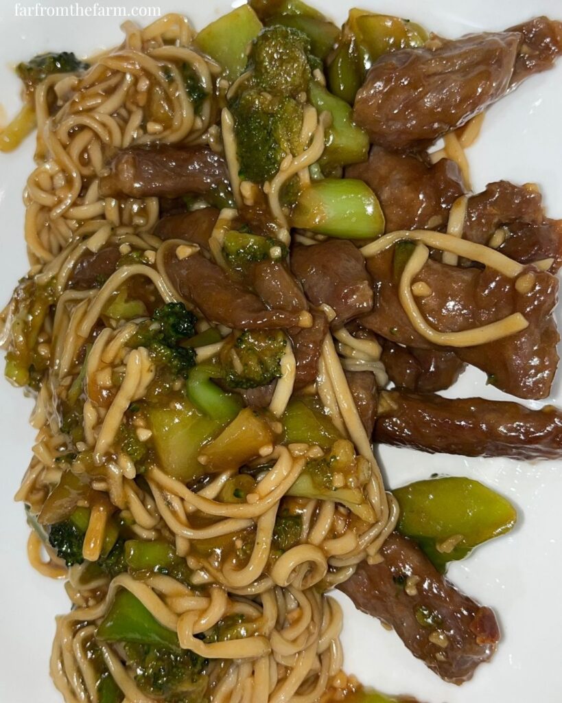 Easy From Scratch Quick Beef and Broccoli Stir-Fry Recipe!