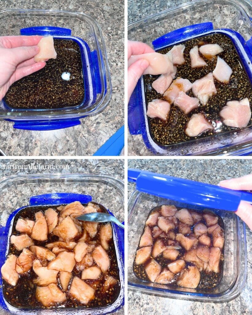 Easy Japanese Yakitori Chicken Skewers Recipe!