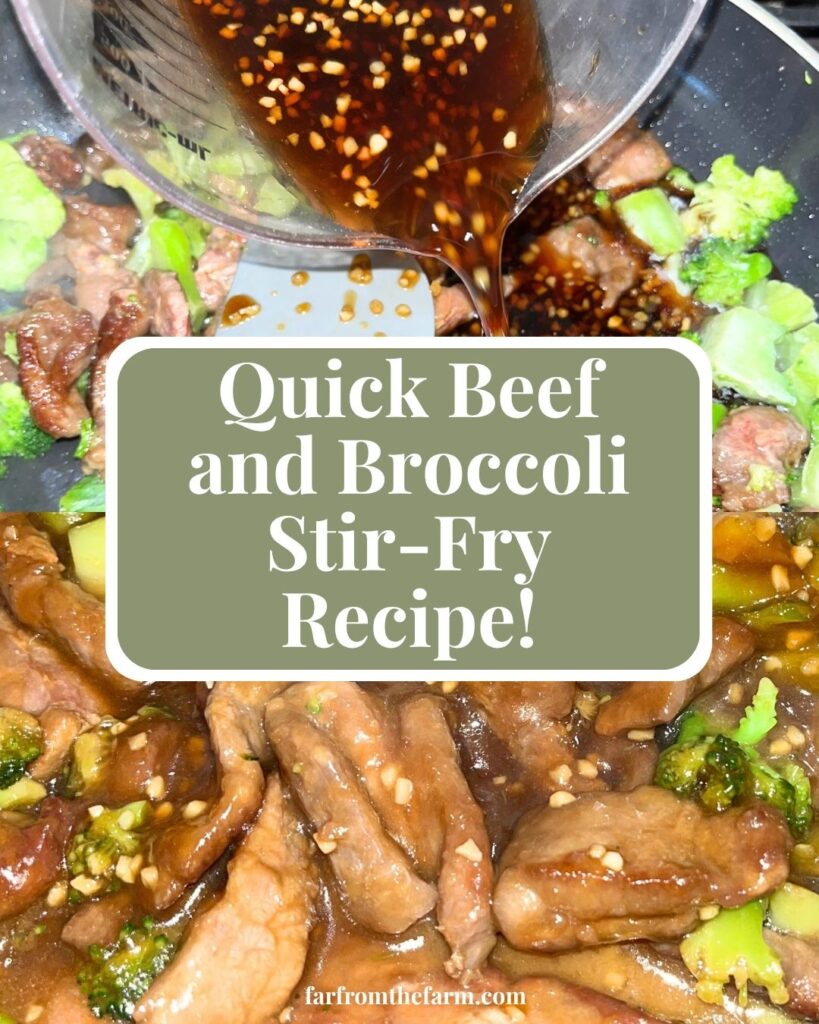 Easy From Scratch Quick Beef and Broccoli Stir-Fry Recipe!