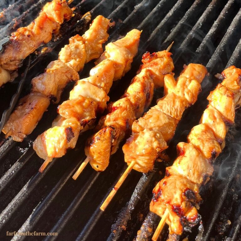 The Best Homemade Japanese Street Food-Inspired Yakitori Chicken Skewers Recipe!