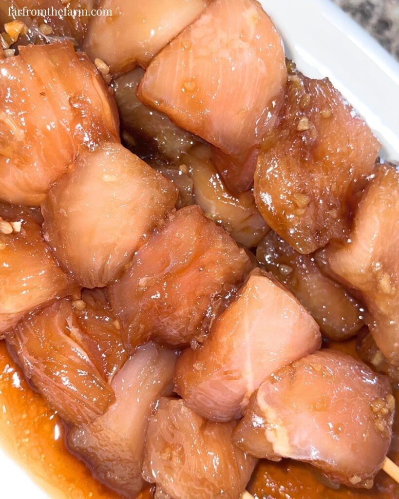 Easy Japanese Yakitori Chicken Skewers Recipe!