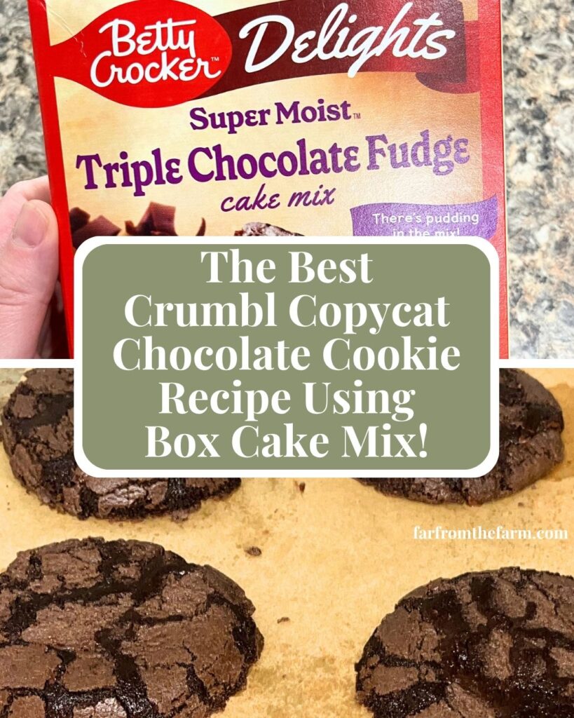 The Best Crumbl Copycat Chocolate Cookie Recipe Using Box Cake Mix!