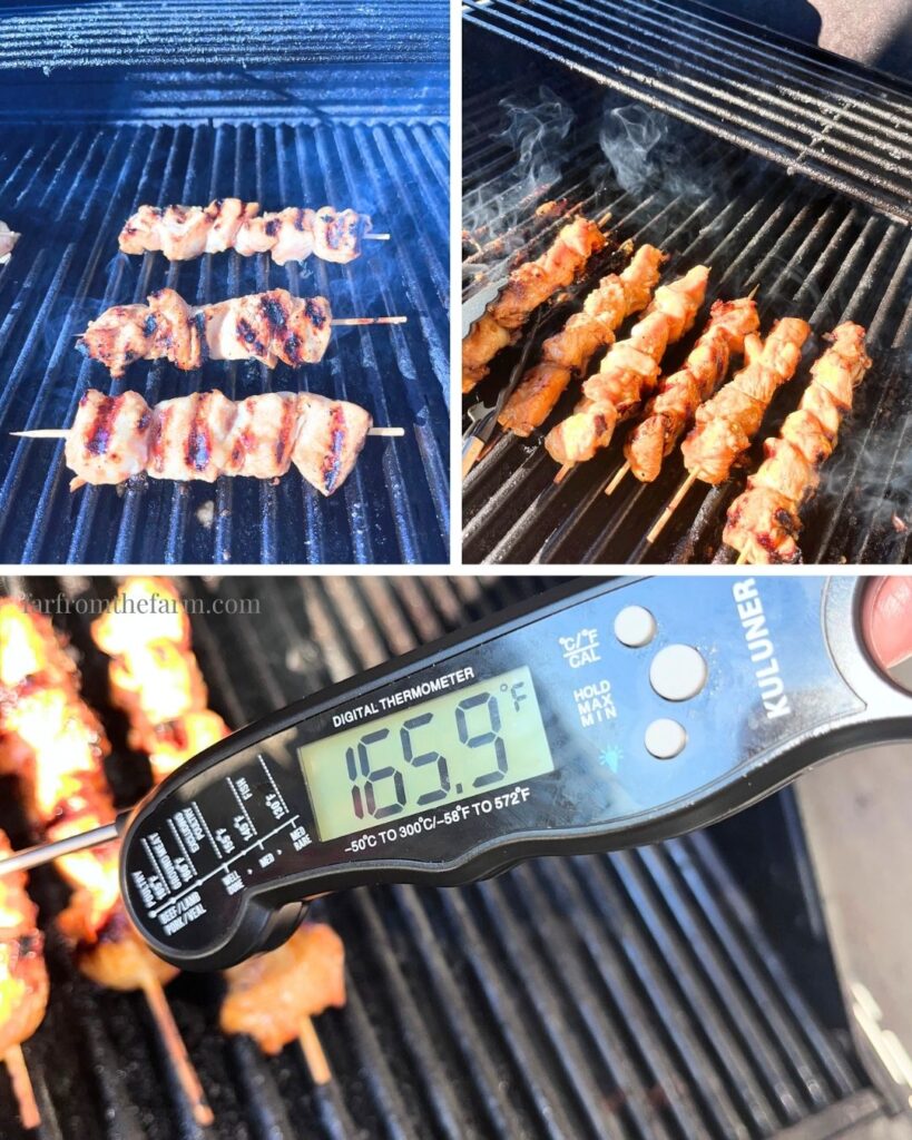 Easy Japanese Yakitori Chicken Skewers Recipe!