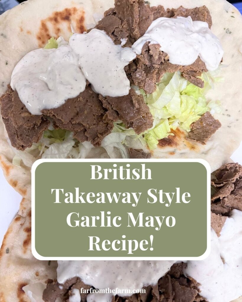 British Takeaway Style Garlic Mayo Recipe!