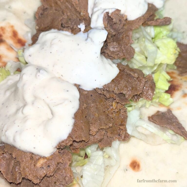 British Takeaway Style Garlic Mayo Recipe!
