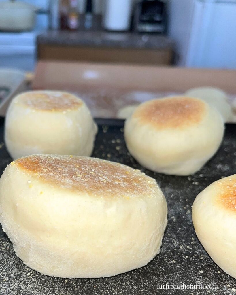 KitchenAid English Muffin Recipe - Cooked on an Electric Griddle!