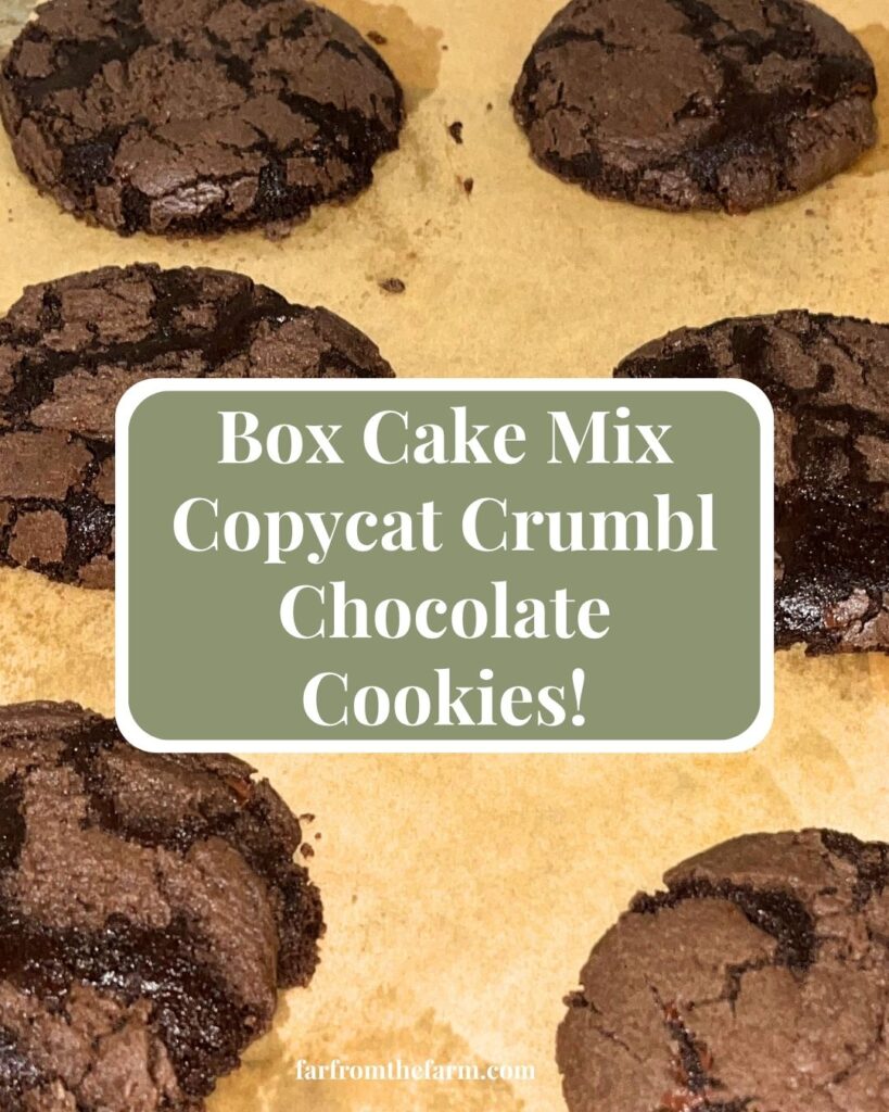 The Best Crumbl Copycat Chocolate Cookie Recipe Using Box Cake Mix!