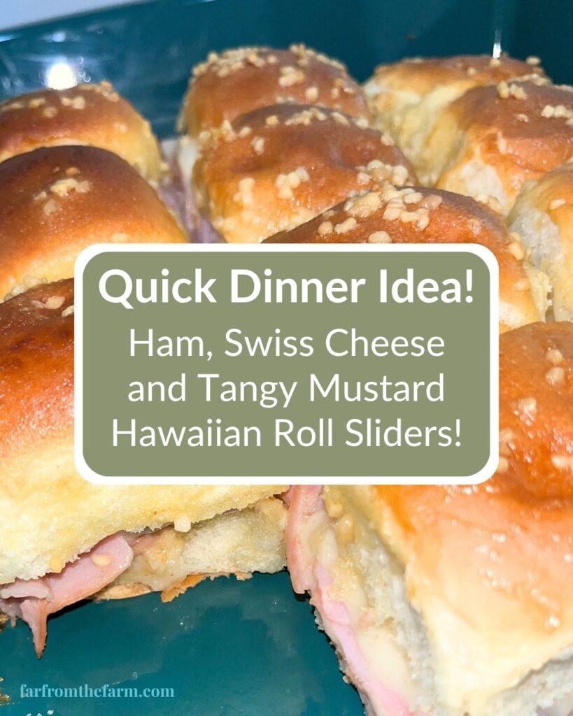 The Best Ham, Swiss Cheese and Tangy Mustard Hawaiian Roll Sliders Recipe!