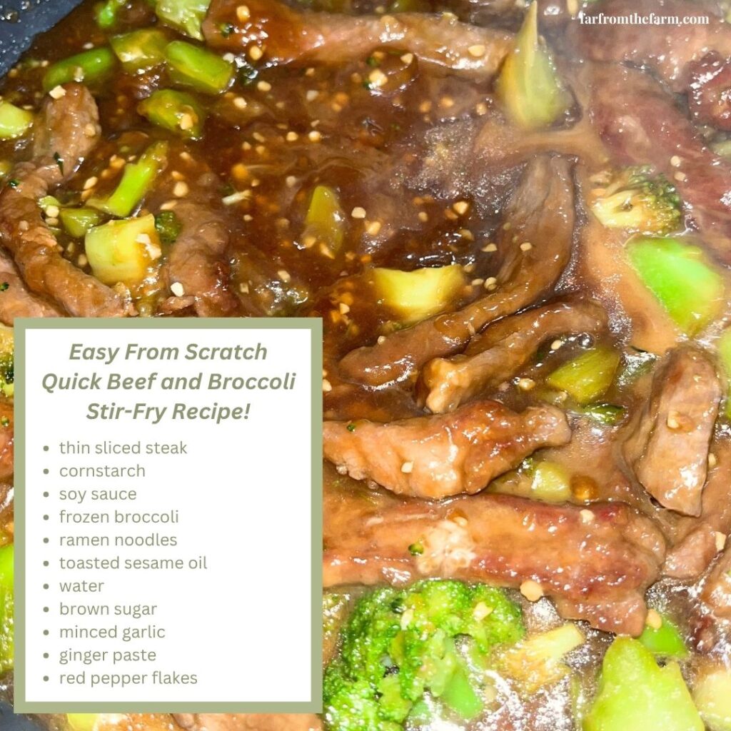 Easy From Scratch Quick Beef and Broccoli Stir-Fry Recipe!