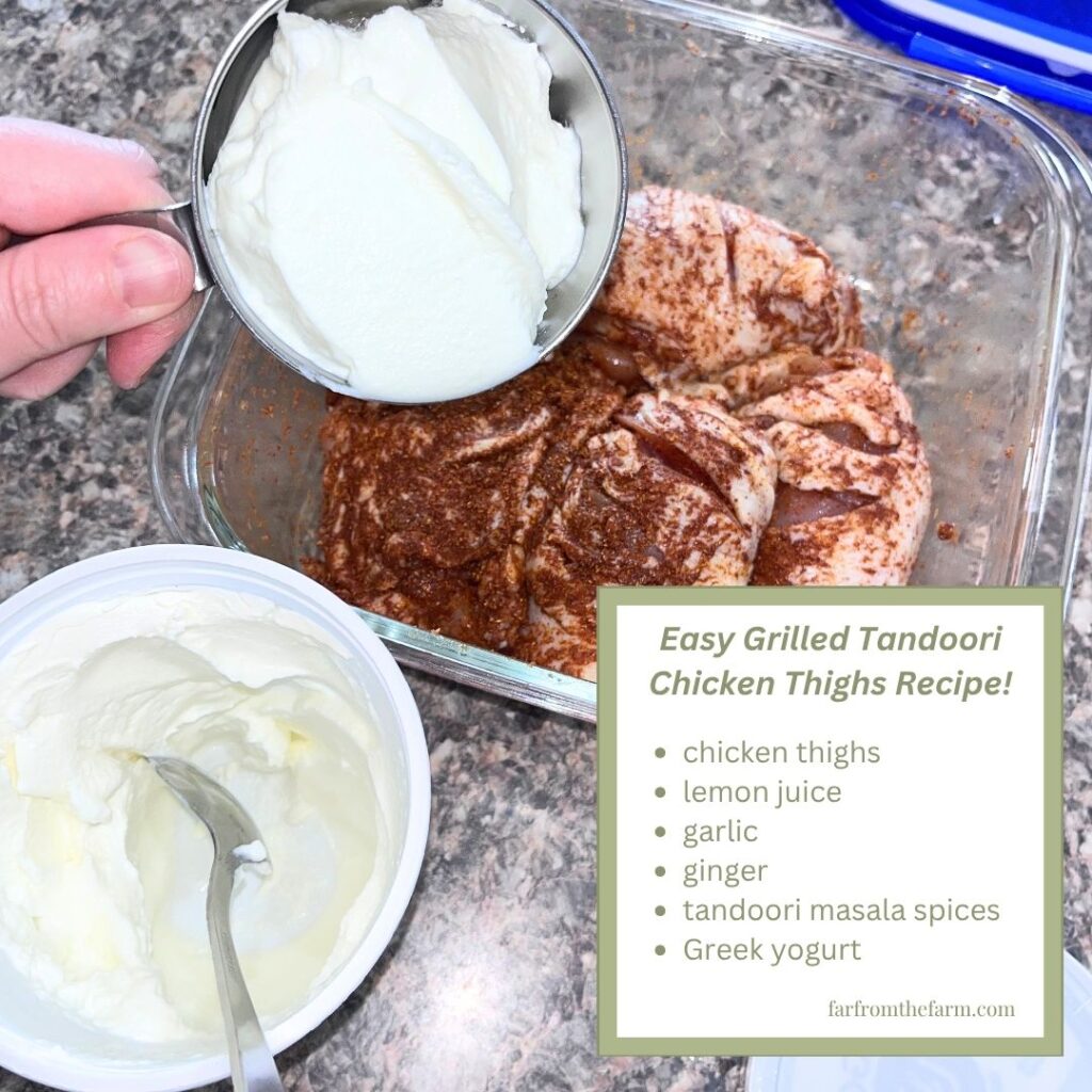 Easy Grilled Tandoori Chicken Thighs Recipe!