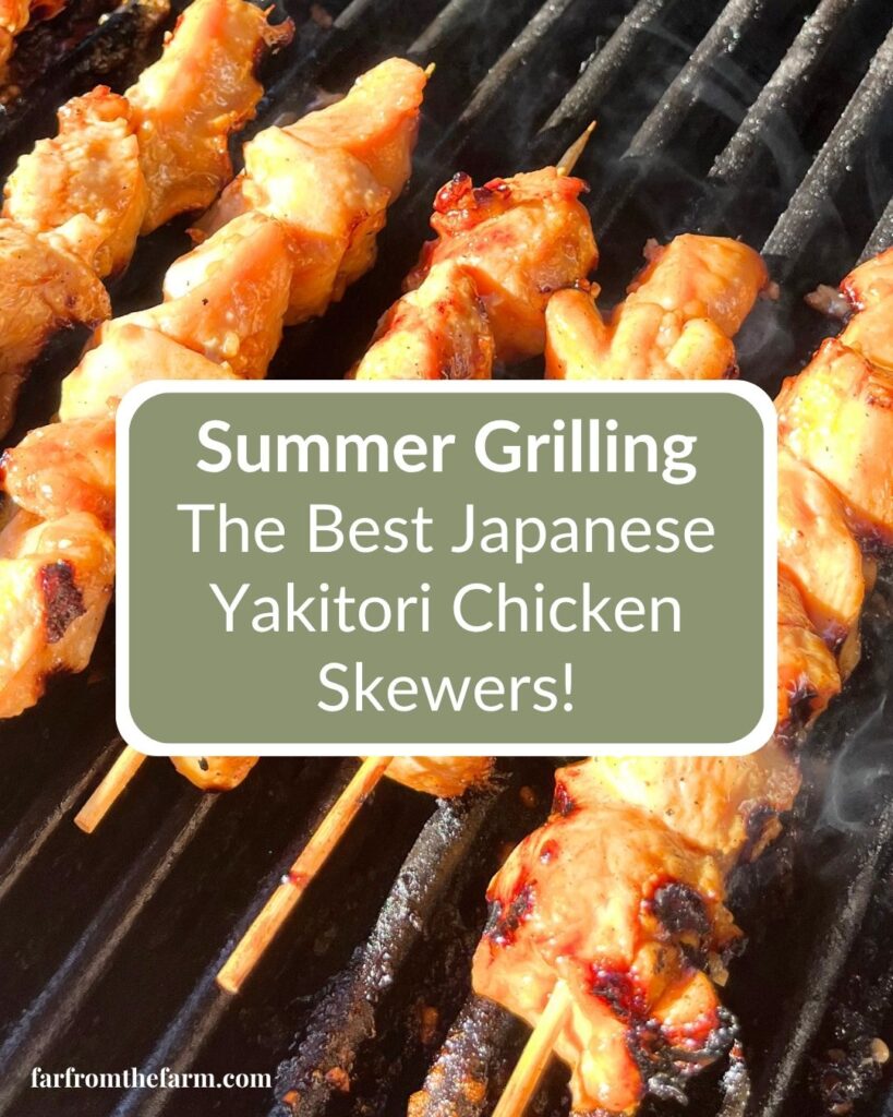 Easy Japanese Yakitori Chicken Skewers Recipe!