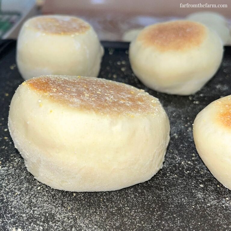 KitchenAid English Muffin Recipe Made With An Electric Griddle!