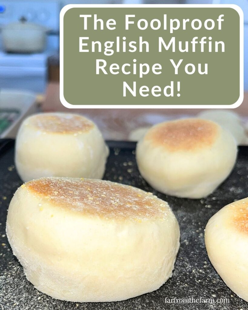 KitchenAid English Muffin Recipe - Cooked on an Electric Griddle!