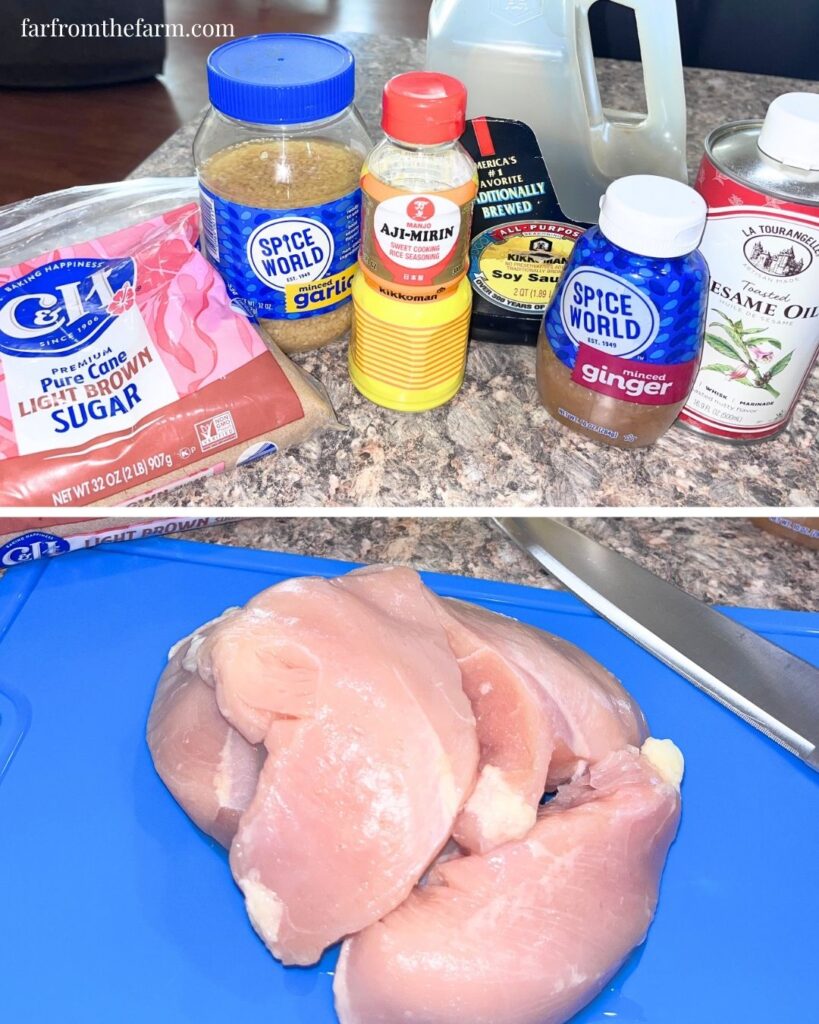 Easy Japanese Yakitori Chicken Skewers Recipe!