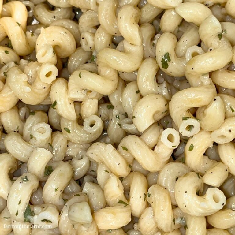 Quick Garlic Butter Corkscrew Pasta Instant Pot Recipe!
