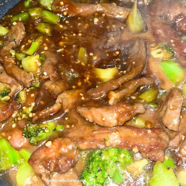 Easy From Scratch Quick Beef and Broccoli Stir-Fry Recipe!