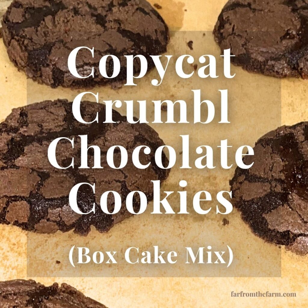 The Best Crumbl Copycat Chocolate Cookie Recipe Using Box Cake Mix!