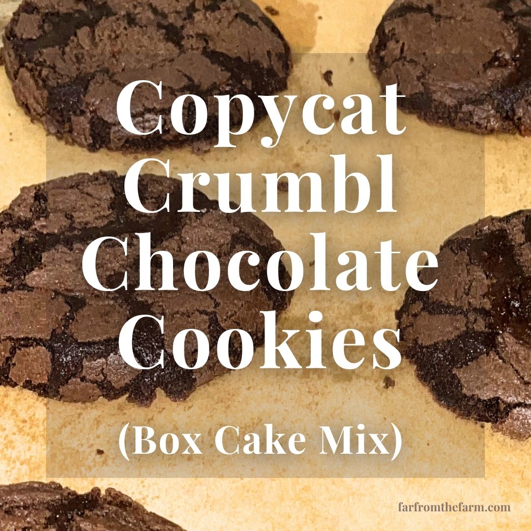 The Best Crumbl Copycat Chocolate Cookie Recipe Using Box Cake Mix!