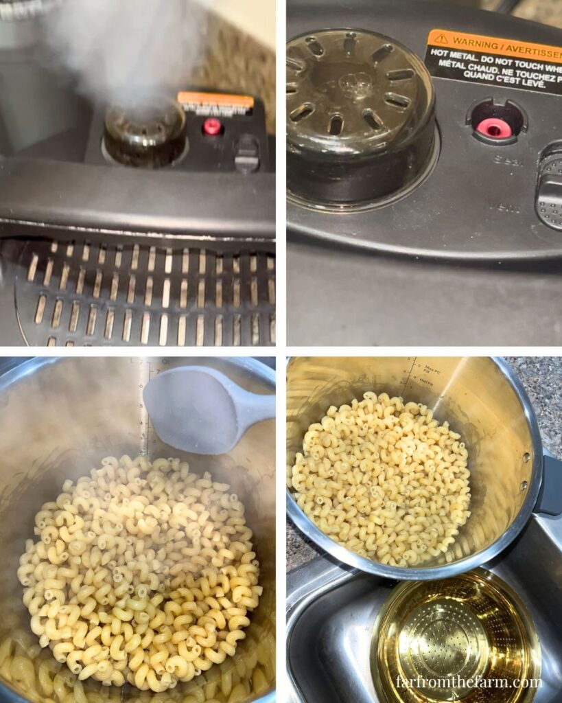 Quick Garlic Butter Corkscrew Pasta Instant Pot Recipe!