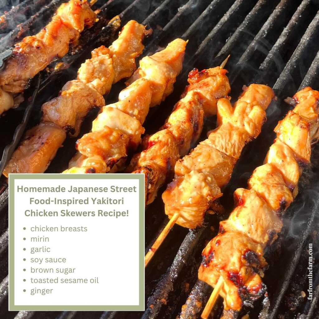 Easy Japanese Yakitori Chicken Skewers Recipe!