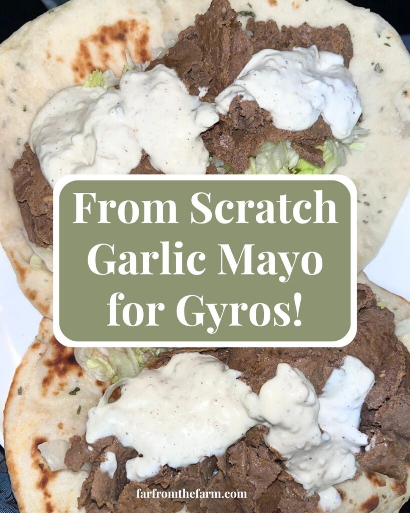 British Takeaway Style Garlic Mayo Recipe!