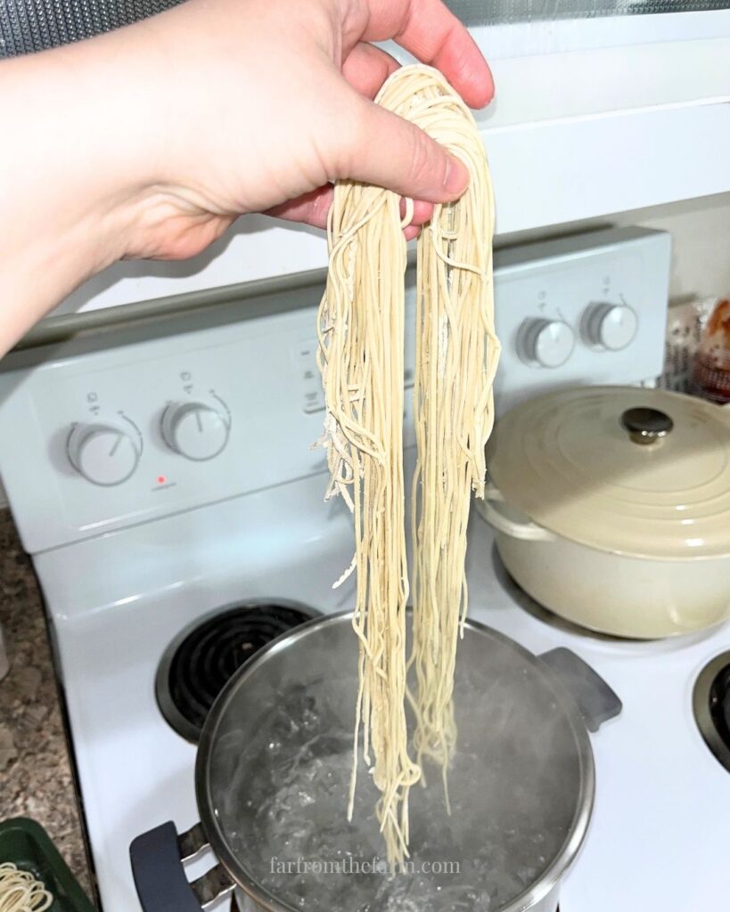 How to Make Baked Baking Soda for Ramen Noodles and More!