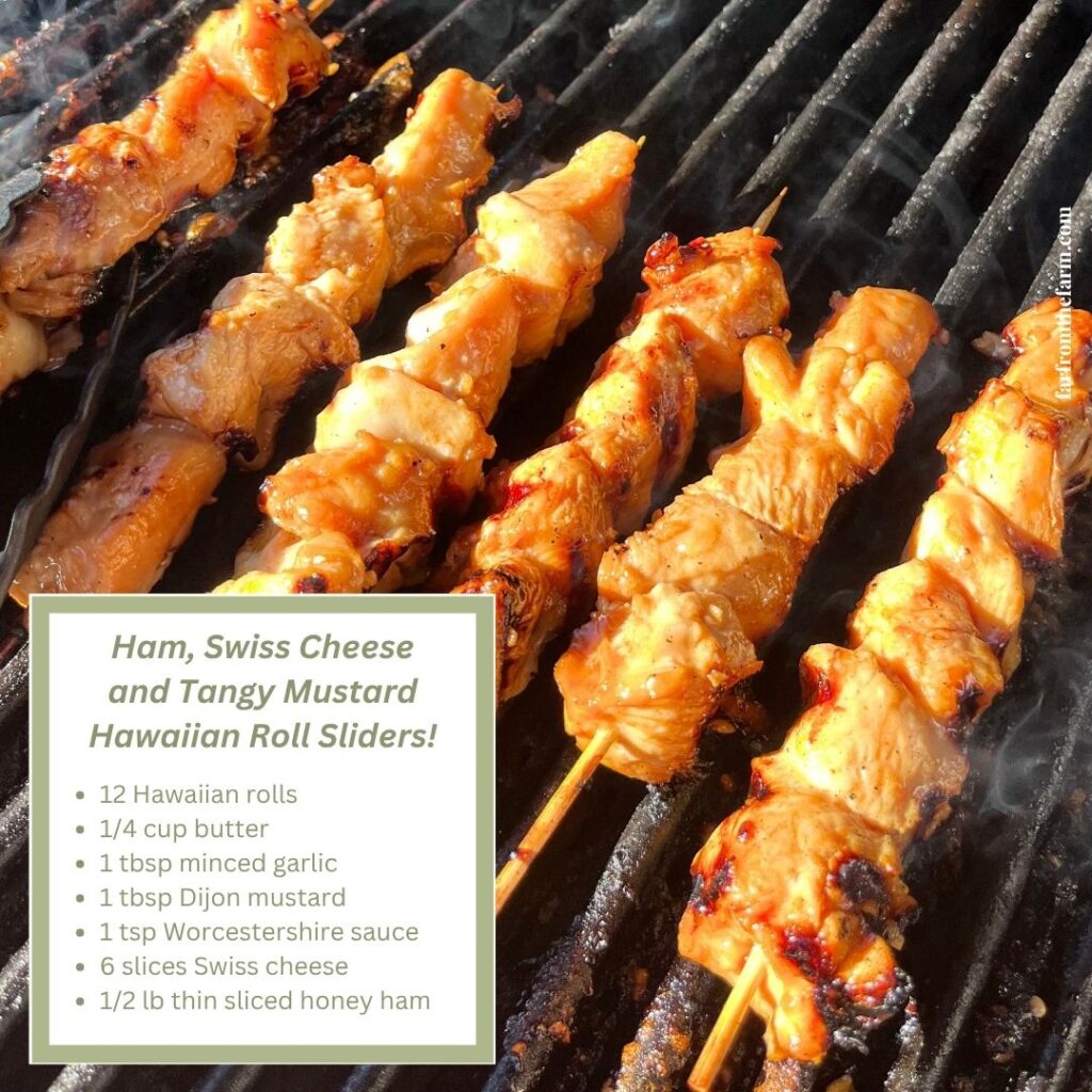 The Best Homemade Japanese Street Food-Inspired Yakitori Chicken Skewers Recipe!