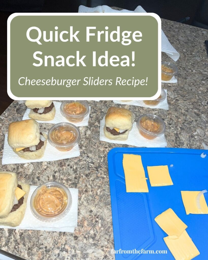Easy Meal Prep Fridge Snack Cheeseburger Sliders Recipe!