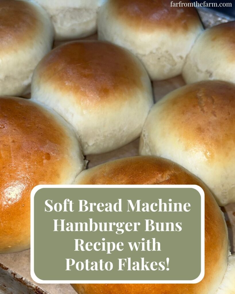Soft Bread Machine Hamburger Buns Recipe with Potato Flakes!
