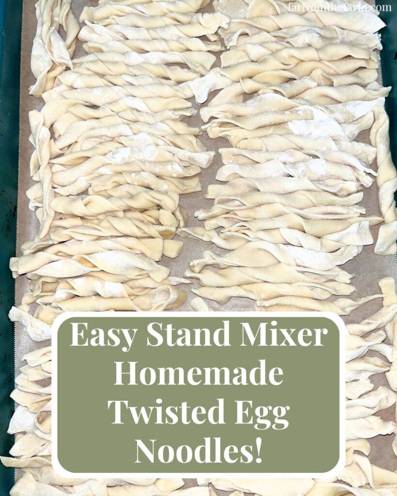Easy Stand Mixer Homemade Twisted Egg Noodles (With Milk!)