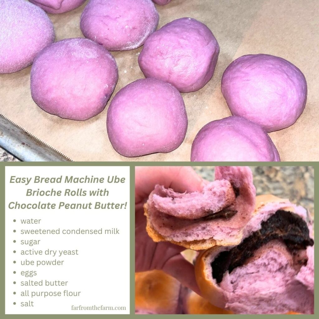 Easy Bread Machine Ube Brioche Rolls with Chocolate Peanut Butter!