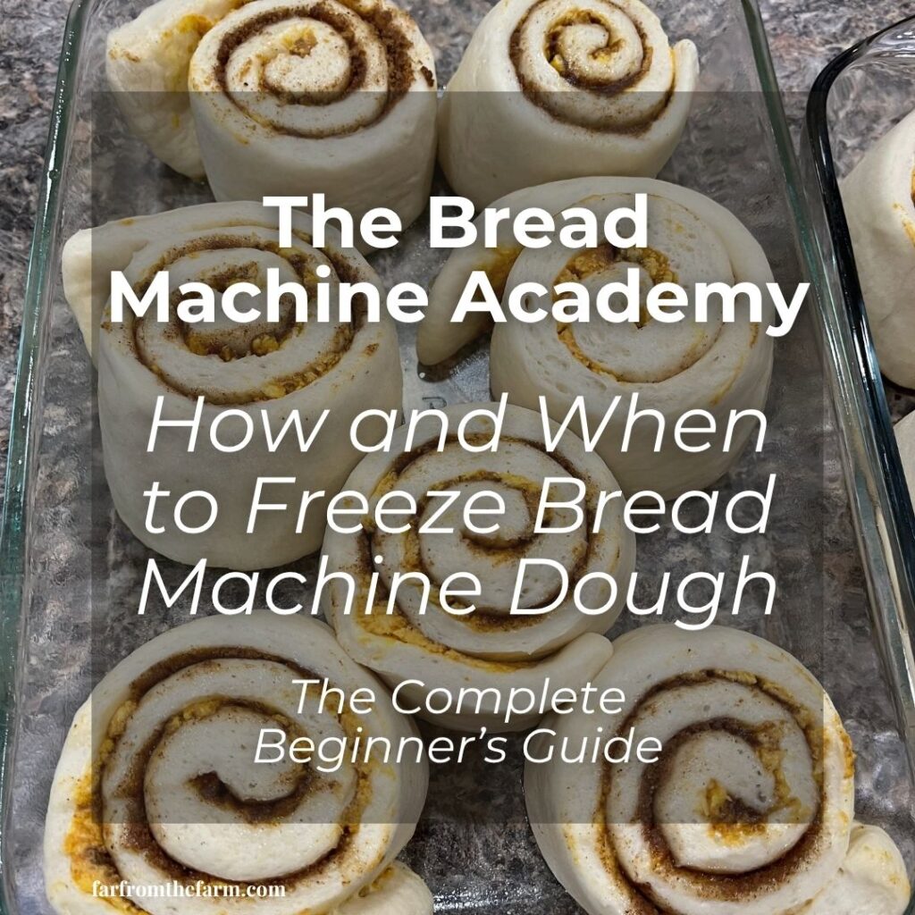 How and When to Freeze Bread Machine Dough