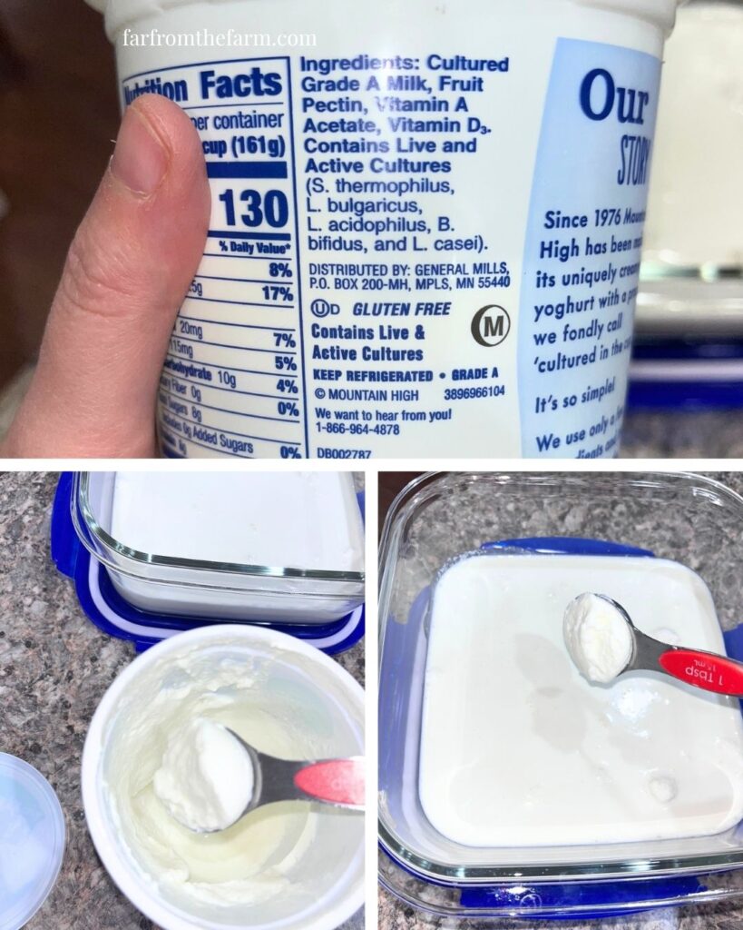 How to Make Crème Fraîche with Yogurt (Easy 2-Ingredient Substitute)