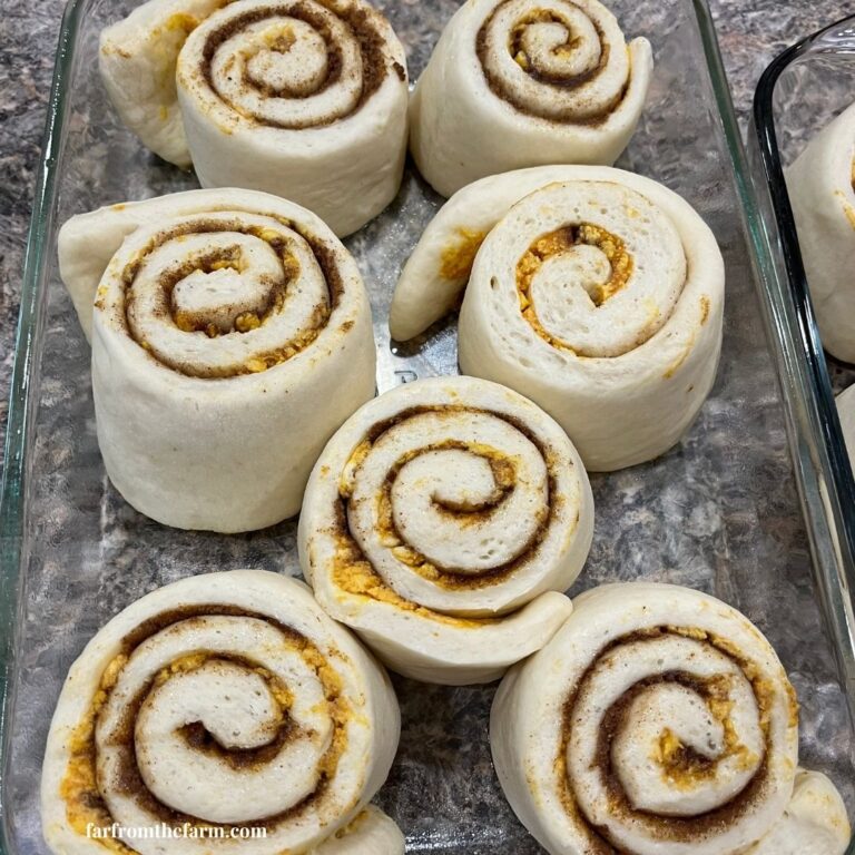 How and When to Freeze Bread Machine Dough