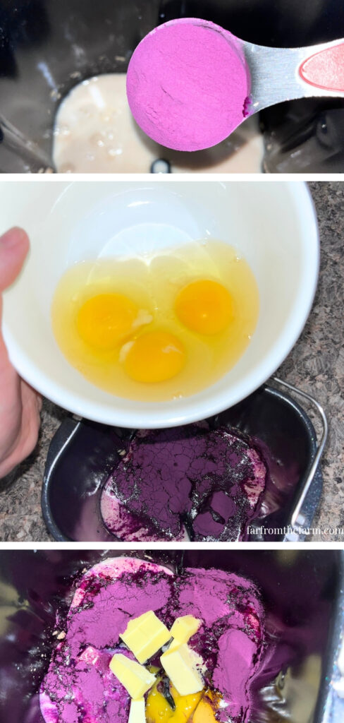 Easy Bread Machine Ube Brioche Rolls with Chocolate Peanut Butter!